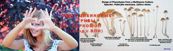 наркотики Богородицк