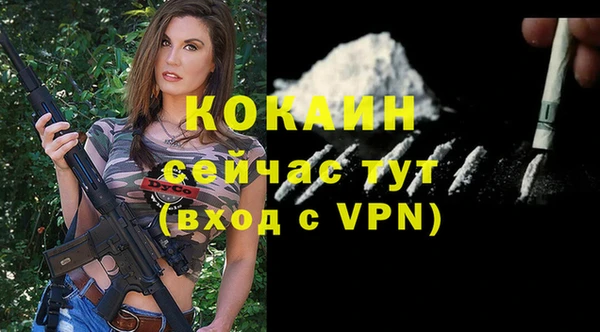 mdpv Богданович
